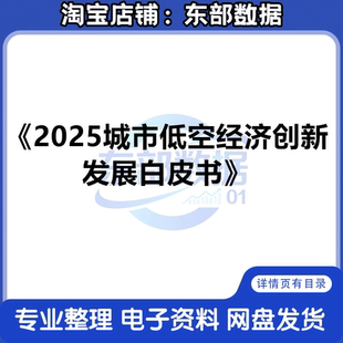 2025城市低空经济创新发展白皮书