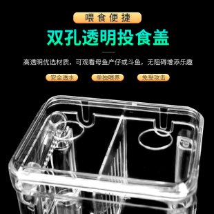 自浮亚克力鱼缸隔离盒孔雀鱼繁殖盒鱼缸双层隔离盒孵化产房小鱼苗