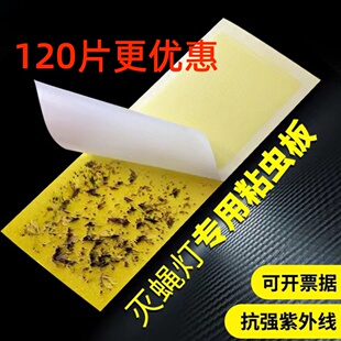 纳迪森灭蝇纸灭蝇灯专用粘捕式灭蚊灯粘贴粘蝇纸粘虫板强力苍蝇纸
