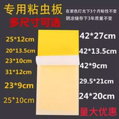 粘捕式 灭蝇灯专用粘蝇纸粘虫板灭蝇纸蚊子贴苍蝇纸板灭蚊灯粘飞虫