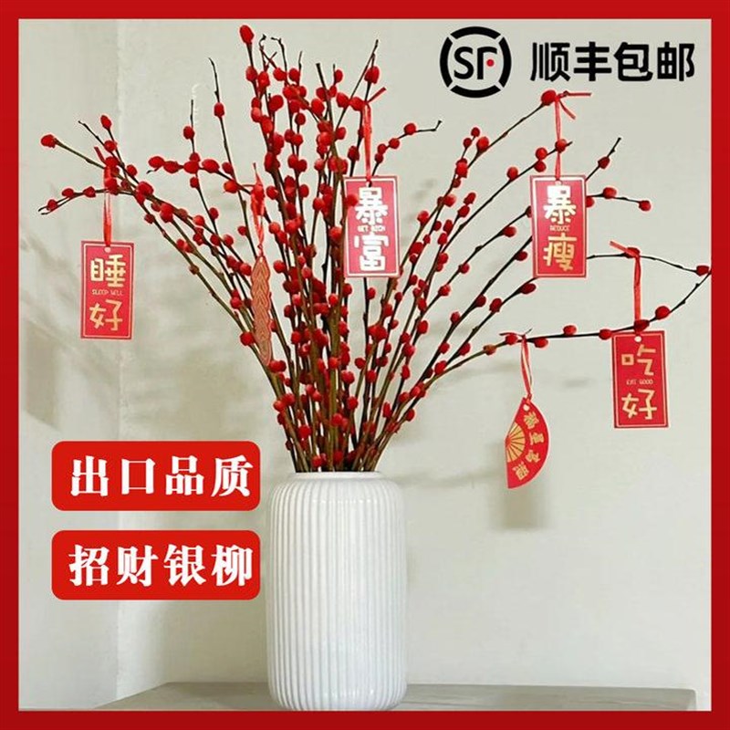 速发银柳真花鲜枝抱抱福桶喜庆年宵花卉盆栽室内红色干花水培植物