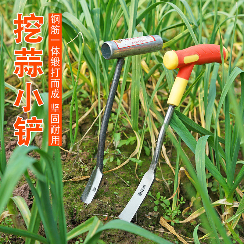 速发种菜园艺挖铲子挖蒜铲剜出蒜铲农用挖野菜拔草工具蚯药材小蚓