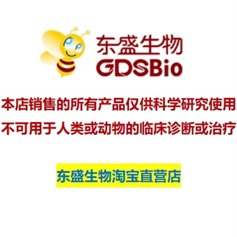 速发东盛 大学高中 PCR开源教学试剂盒 P80-50T P802-100T免费开