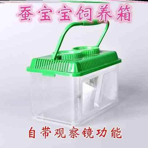 速发学生养蚕盒蚕宝宝别墅小型的房子盒子简易大号用具装蜗牛装蚕