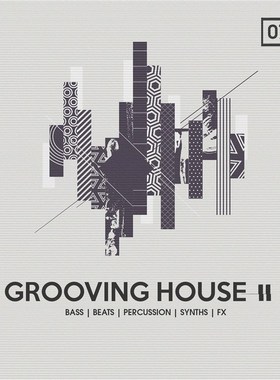 速发BIGORZ Groovig House 2音色包鼓包采样Loop音源 Tech