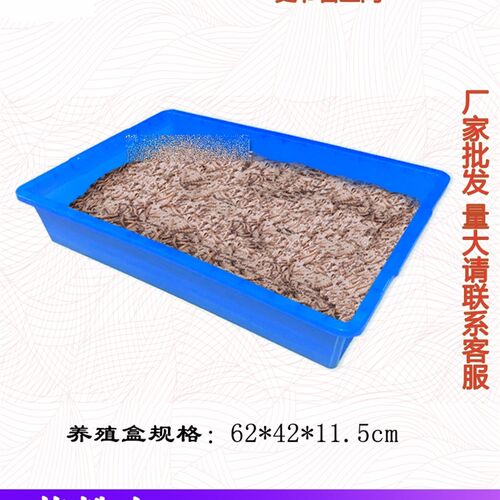 速发蛋白虫产卵筛网黄虫虫饲养繁殖箱大麦粉养虫盒殖卵分离筛套装