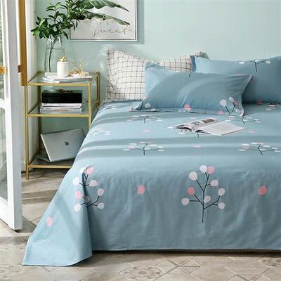现货速发Beddig  Bed Sheet Beover Bedsheets Bedsheet Sheets