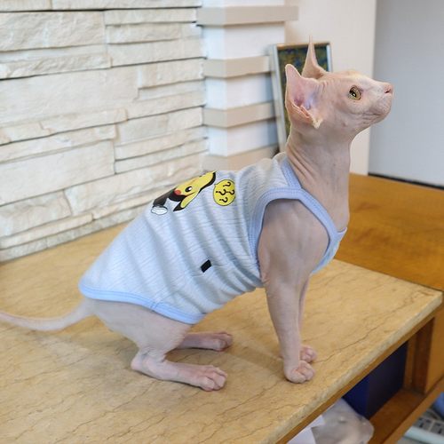 速发斯芬克斯无毛幼衣服比夏薄款夏天吊带春卡丘纯棉德文猫猫吊带
