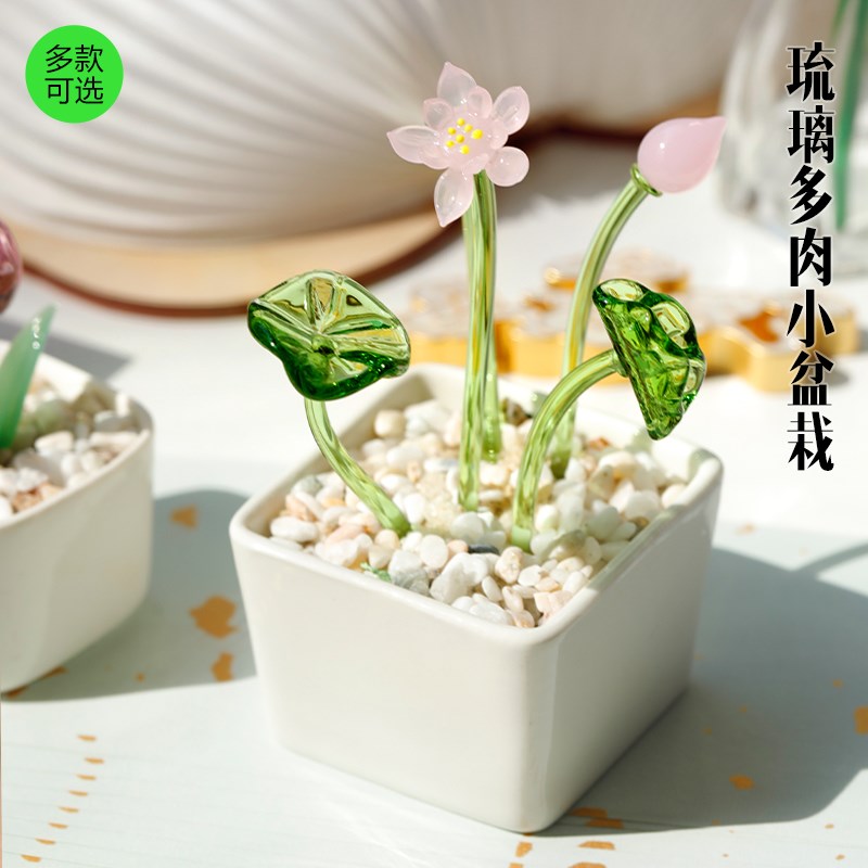 速发8肉节礼物玻璃花园桌面装莲盆栽多妇饰花铃兰郁金香