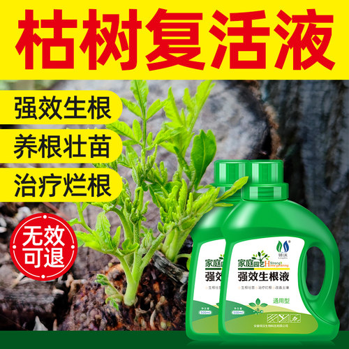 速发大树生根液枯树再树复活液生木移栽壮营剂植物通用型苗养液激