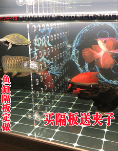 鱼缸隔离板隔板亚克力分隔挡板水族箱罗汉孔雀斗鱼苗分离器隔离网