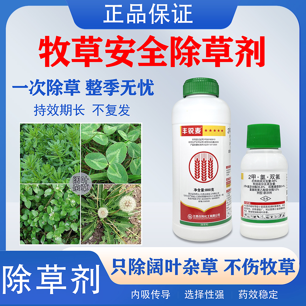 皇竹草甜象草黑麦草高丹草巨菌草墨西哥玉米草牧草田地专用除草剂