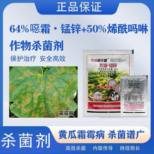 汉邦华邦碧无霜噁霜锰锌烯酰吗啉黄瓜霜霉病疫病农药组合杀菌剂