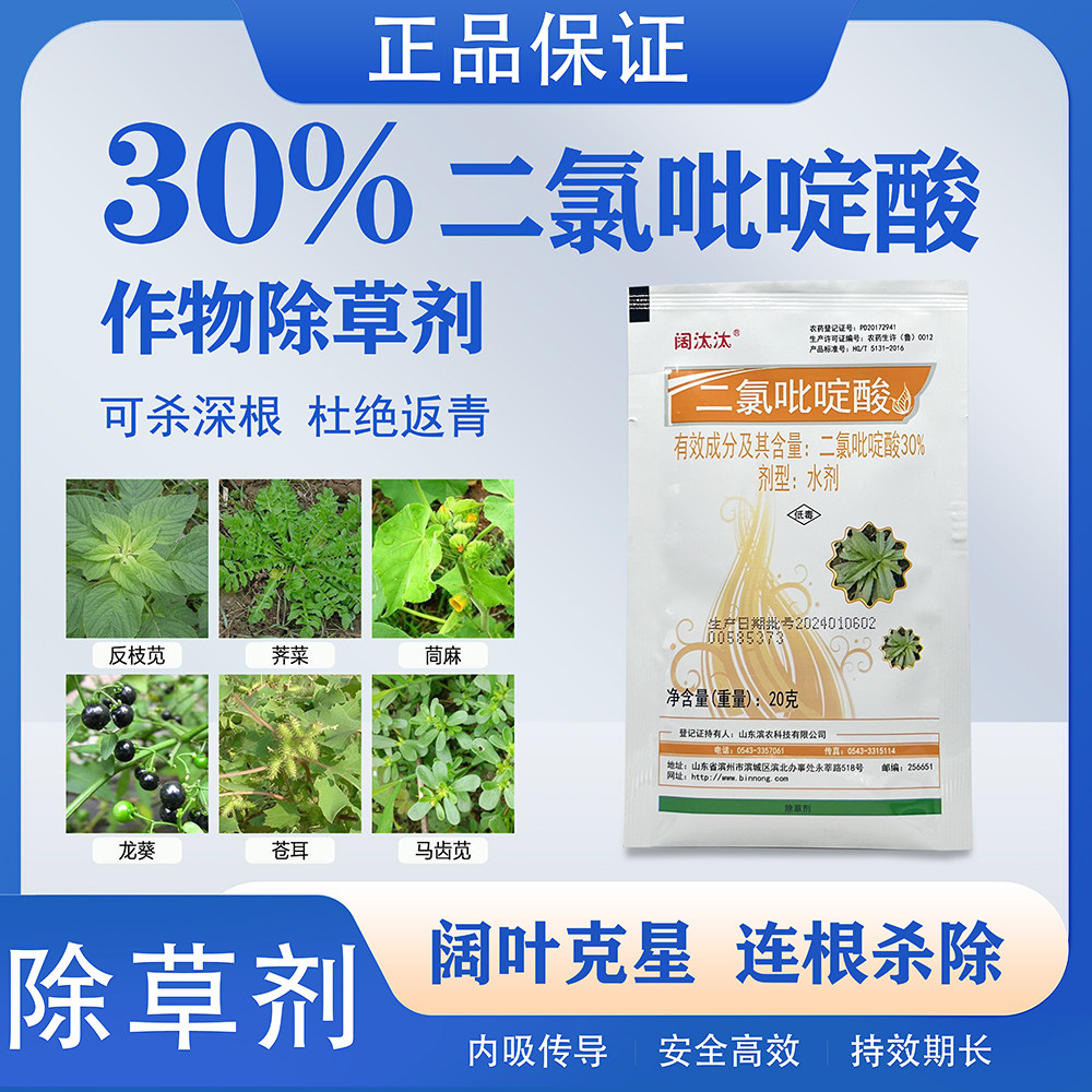 滨农30%二氯吡啶酸水剂阔汰汰 阔叶杂草油菜玉米苗圃刺儿菜除草剂