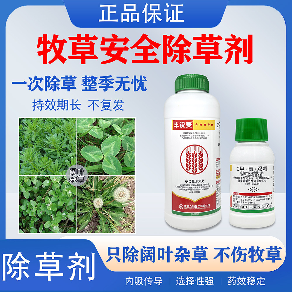 皇竹草甜象草黑麦草高丹草巨菌草墨西哥玉米草牧草田地专用除草剂