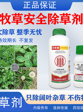 皇竹草牧草田地专用除草剂