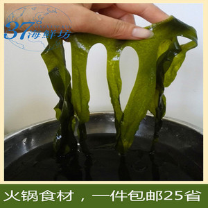 威海特产火锅烫三秒海带芽裙带菜海木耳海带苗海藻