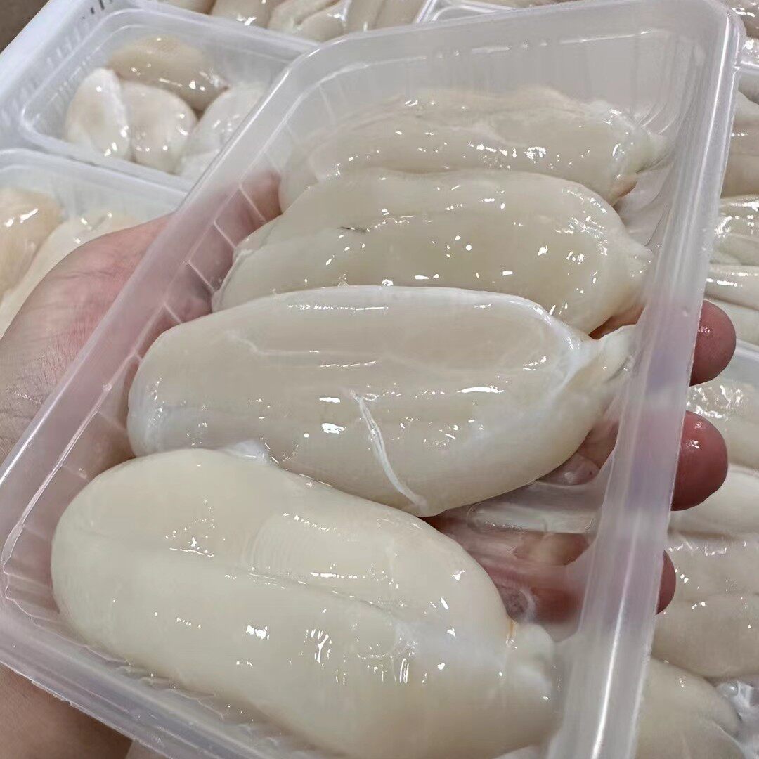 墨鱼蛋白鱼蛋无盐乌贼蛋