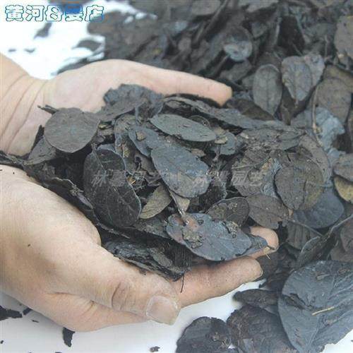 速发栗树营养液云营发酵叶兰花栽培基质土植料耳叶腐叶土种植质料,鲜花速递/花卉仿真/绿植园艺,介质/营养土,淘宝优惠券,粉丝福利购,淘宝优惠卷