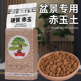 速发三面线玉赤土盆景专用铺本颗粒营养土硬质扦插多肉爬宠