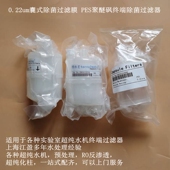 超纯水机配件0.22um囊式 除菌膜PES聚醚砜终端过滤器实验室