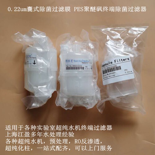 超纯水机配件0.22um囊式除菌膜PES聚醚砜终端过滤器实验室