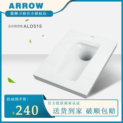 箭牌蹲便器蹲坑式蹲厕所便池冲水箱整套家用防臭卫生间ALD515-1E