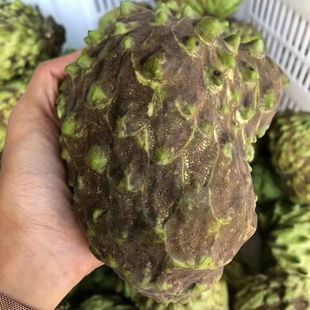 释迦果新鲜凤梨牛奶释迦果番荔枝佛头果广西牟尼果当季新鲜水果