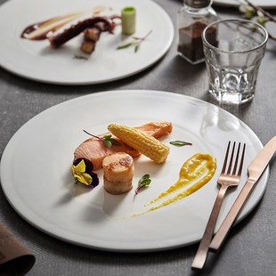 速发形用蛋糕创意圆家10寸菜日式白色陶瓷轻奢西餐厅具摆盘子