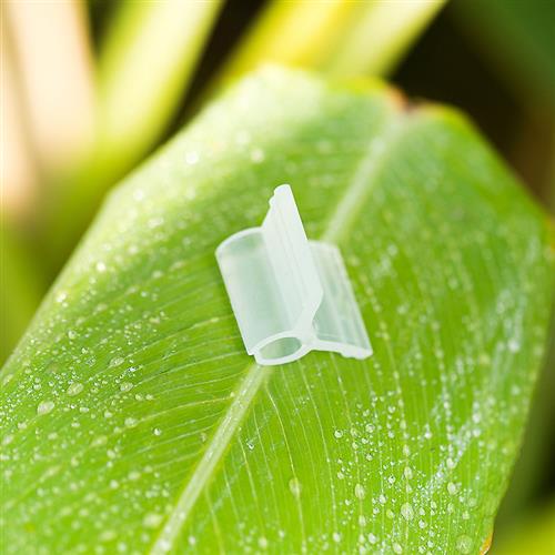 现货速发植物蔬菜瓜果/茄子/西瓜甜瓜 嫁接夹 育苗嫁接夹软质不伤