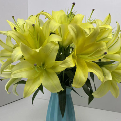 大皇帝香水百合云南昆明基地直发