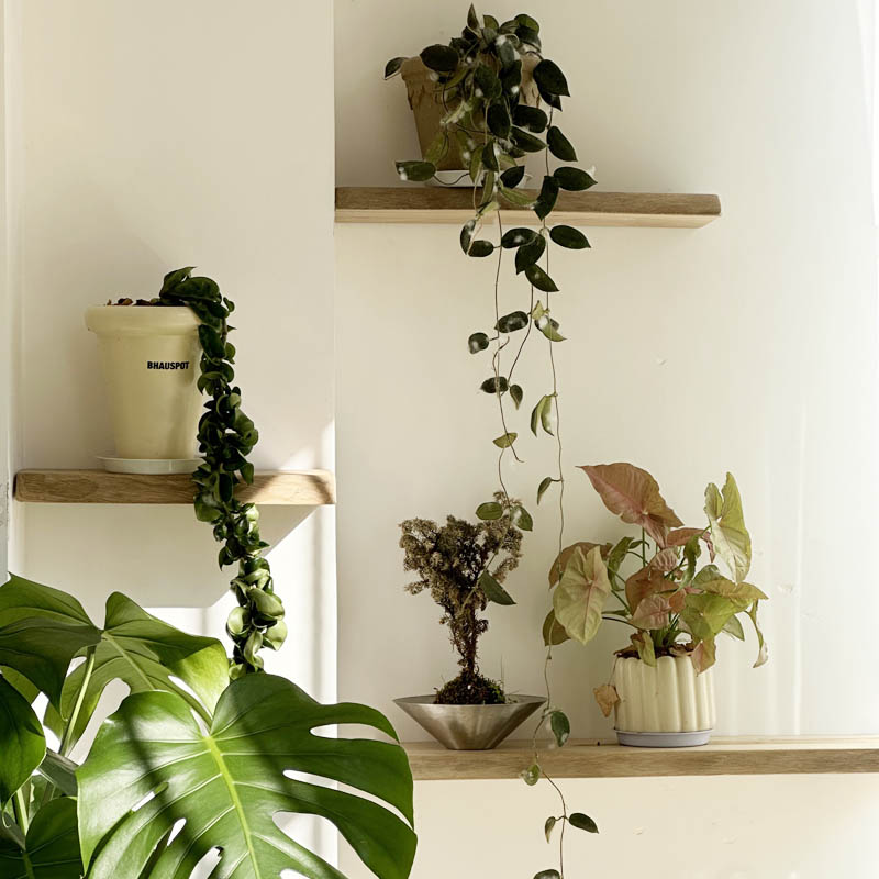 墙上置物架一字隔板墙壁书架实木搁板客厅电视背景装饰架墙面壁挂