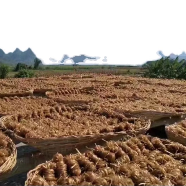 广西红薯粉纯手工无添加火锅凉拌