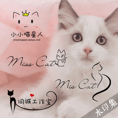 个性卡通手绘签名logo设计可爱猫咪宠物水印设计防盗水印61