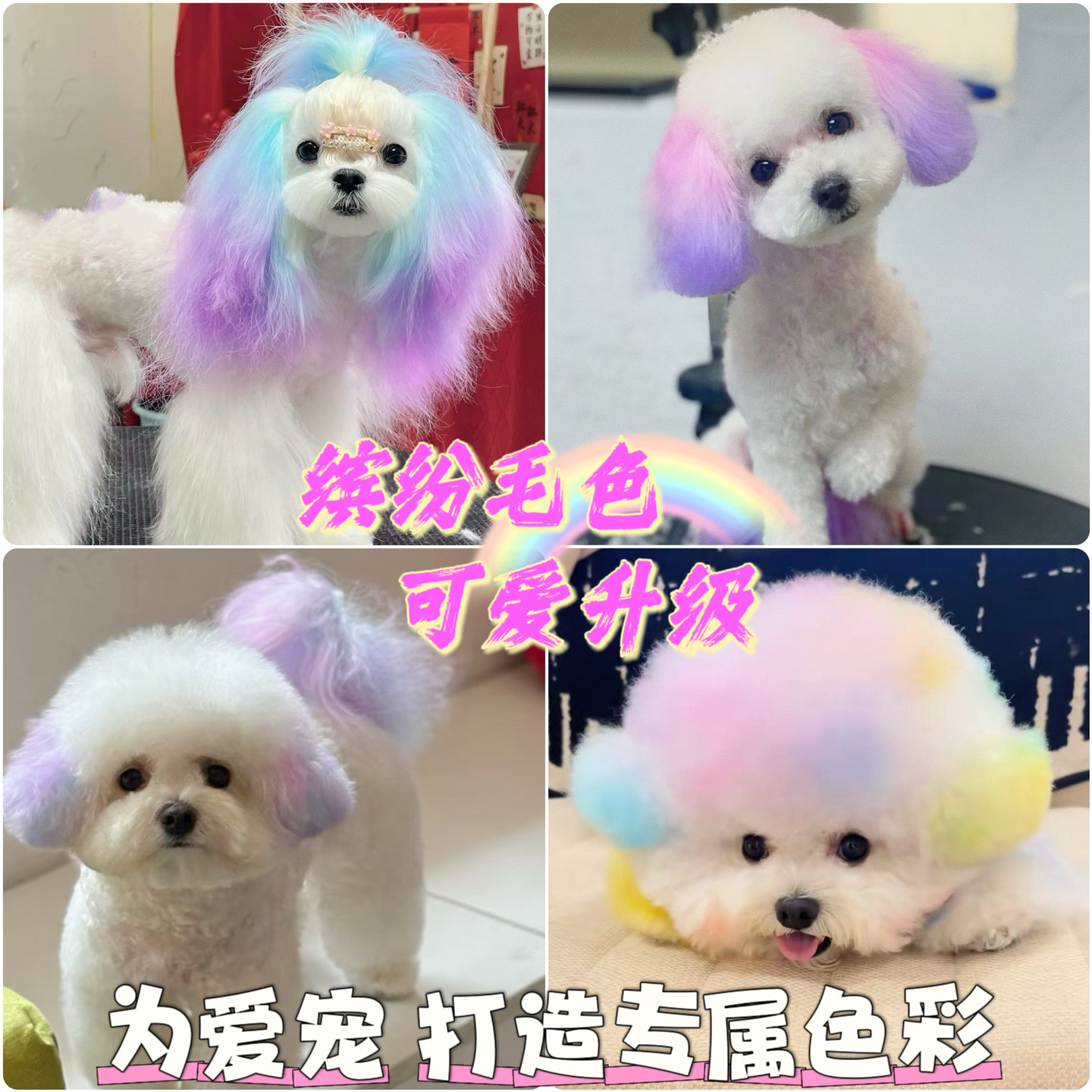 狗狗专用染色剂宠物染毛剂动物染毛膏持久性贵宾犬比熊泰迪染毛膏