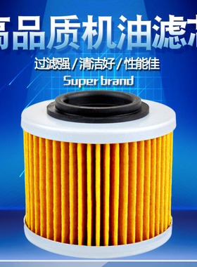 适配庞巴迪DS650 Bimota650 CCM604 Jawa650 MUZ125 500机油滤芯