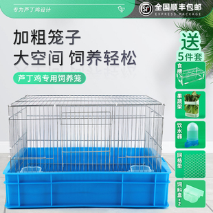 芦丁鸡观赏笼专用鸡笼子饲养箱鹌鹑铁笼养殖小黄鸭柯尔鸭小宠物笼