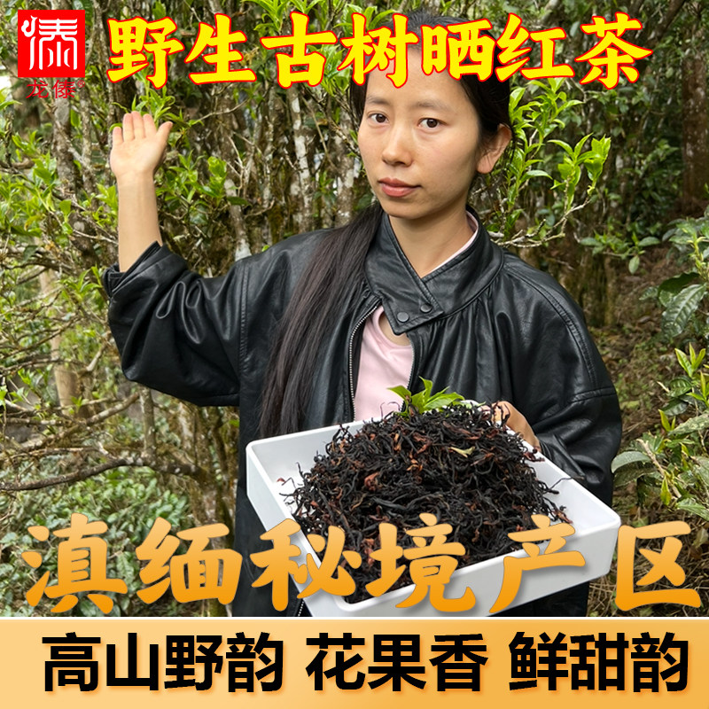 2026秘境森林 野生古树晒红茶正宗滇红茶云南德宏荒野晒红茶野生