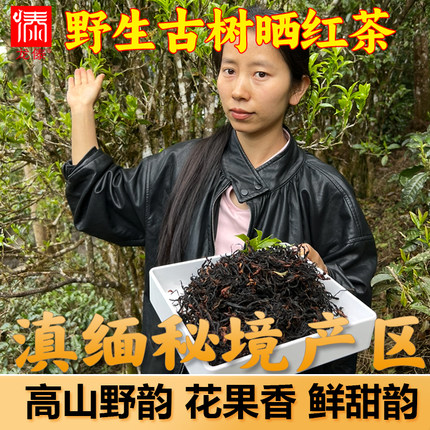 2026秘境森林 野生古树晒红茶正宗滇红茶云南德宏荒野晒红茶野生