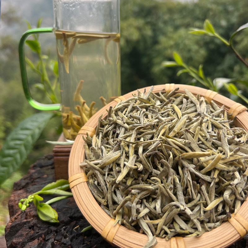 云南绿茶梁河回龙银针新茶