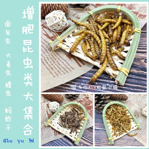 大麦虫面包虫蚂蚱干宠物增肥零食