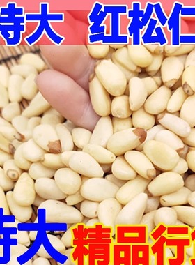 2025红松仁新货东北生松子仁新鲜原味大颗粒罐装散装净重500g包邮