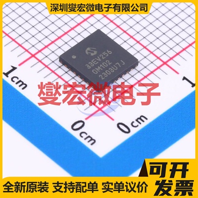 dsPIC33EV256GM102-I/MM QFN-28-EP(6x6) MCU/MPU/SOC微处理器