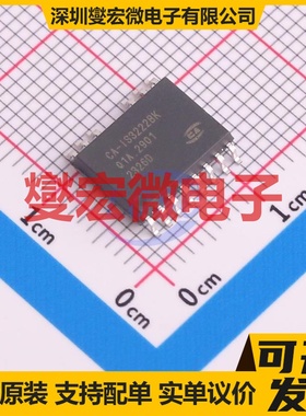 TM1624 SOIC-24-300mil 数码管驱动器芯片IC