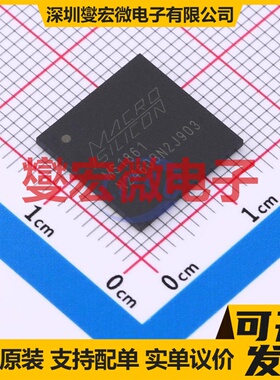 MS1861 BGA-361(13x13) I2C;SPI;UART接口芯片IC