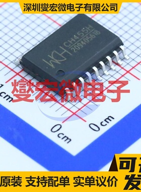 HT1621BDM/TR SSOP-24 LCD驱动器芯片IC