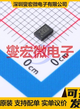 SRC0GS22D TDFN-12(2x3) 监控和复位芯片IC
