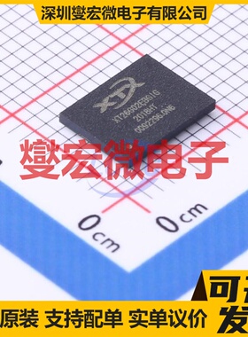 XT26G02EBGIGA BGA-24(6x8) 2Gbit NAND FLASH存储器芯片IC