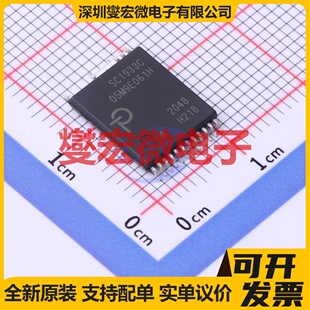 SC1933C-H218-TL InSOP-24 DC-DC电源转换器芯片IC