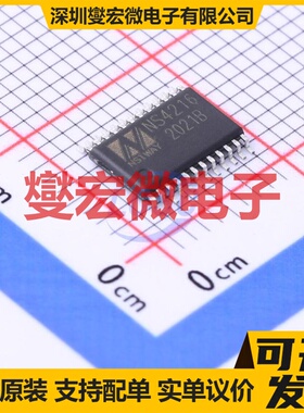 NS4216 ETSSOP-24-EP 音频放大器芯片IC